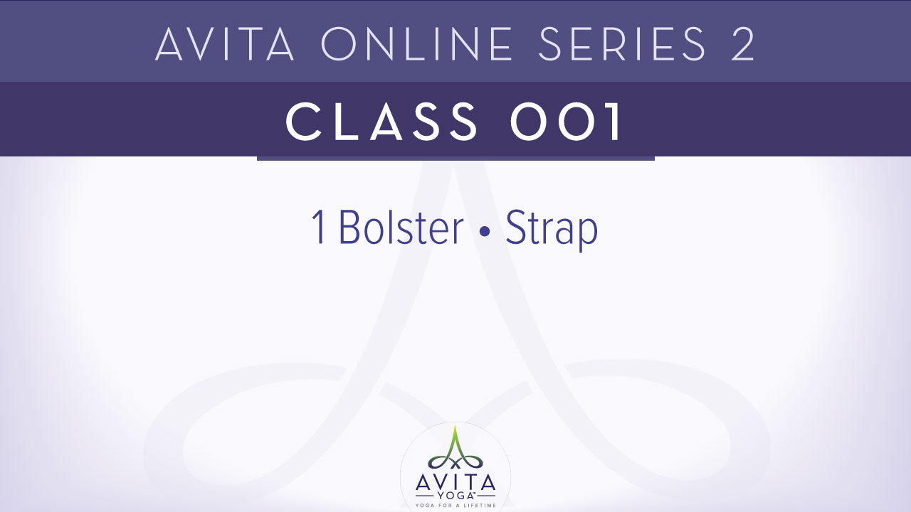 Avita® Online Series 2 - Class 001