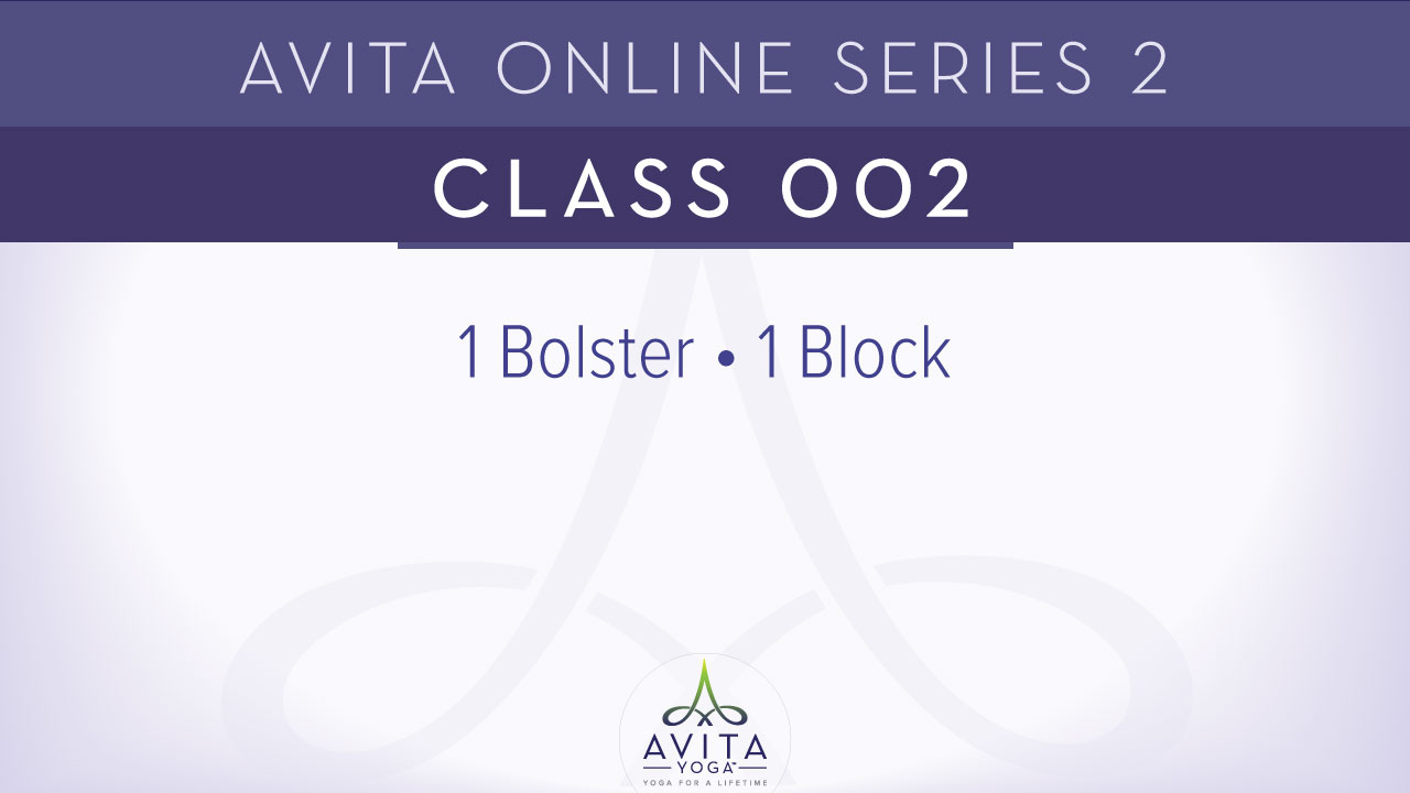 Avita® Online Series 2 - Class 002