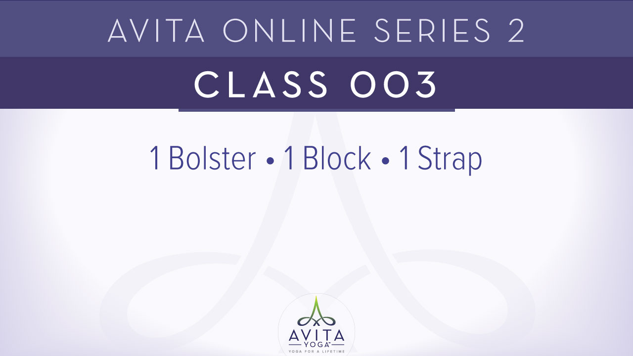 Avita® Online Series 2 - Class 003