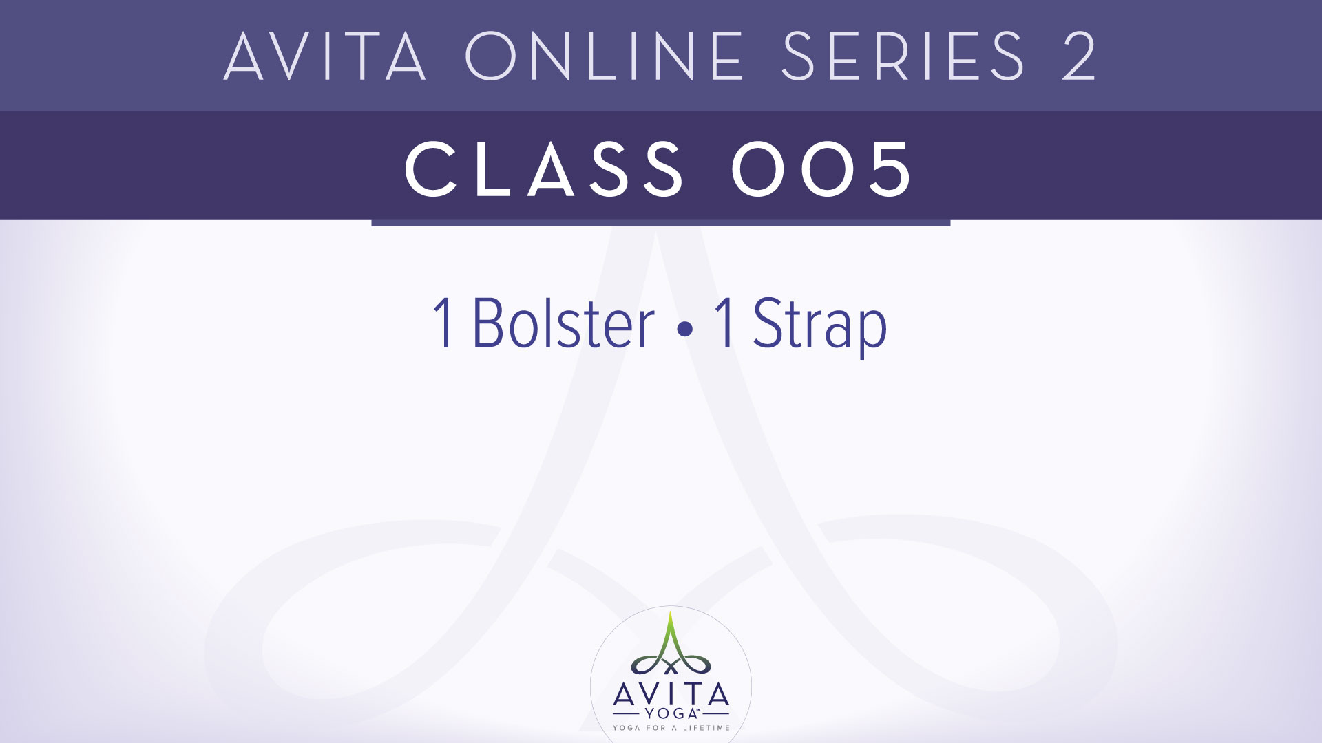 Avita® Online Series 2 - Class 005