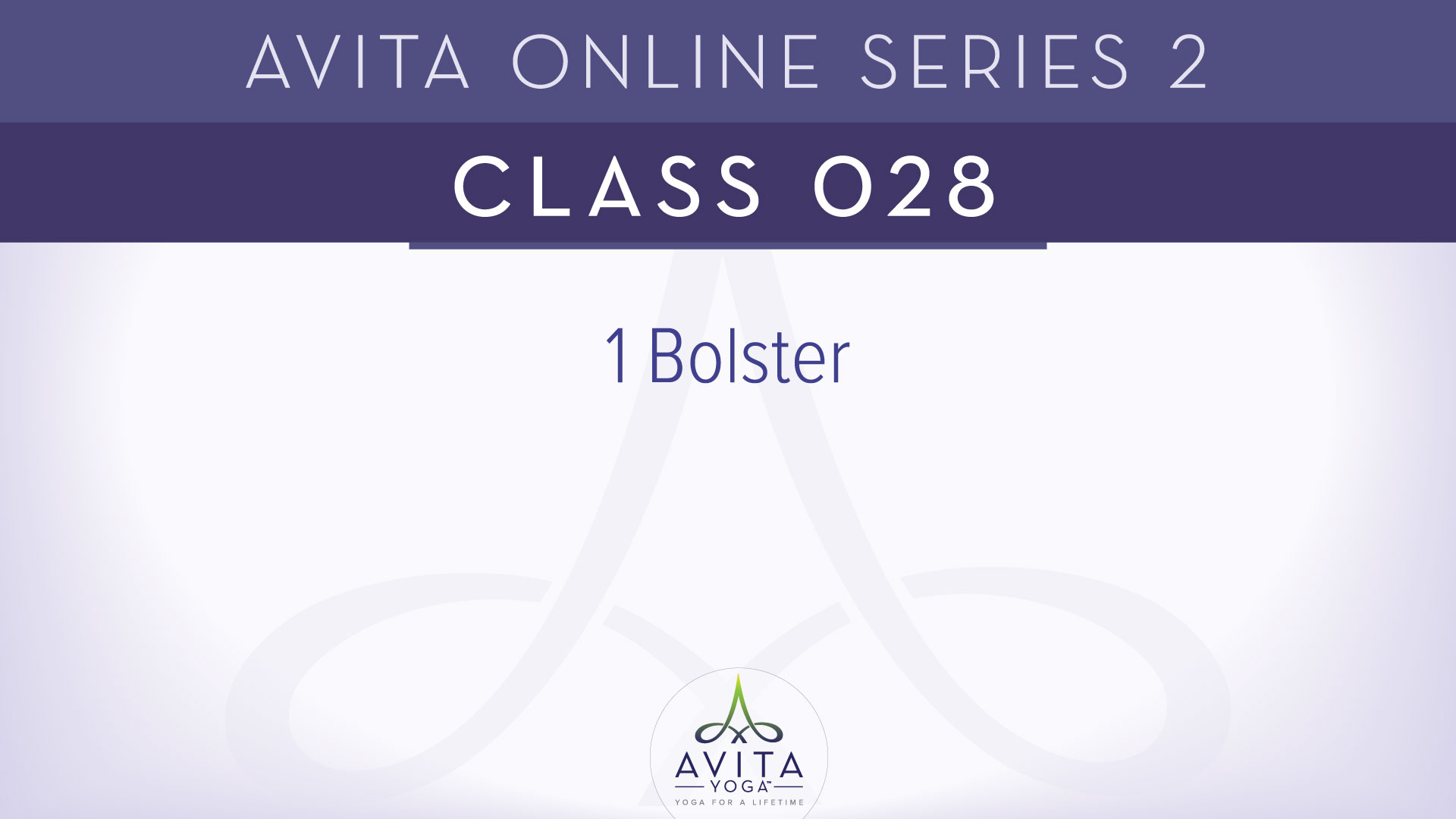 Avita® Online Series 2 - Class 028