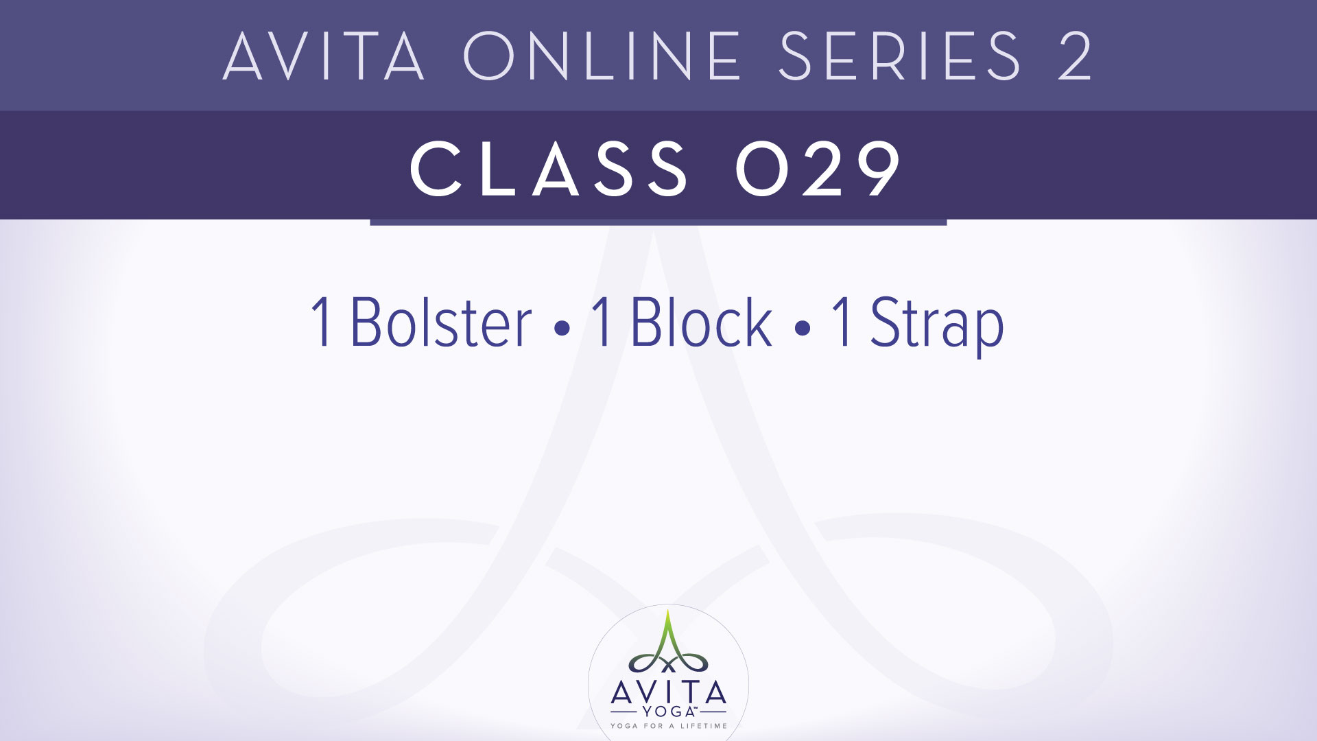 Avita® Online Series 2 - Class 029