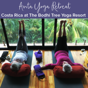 Costa Rica Retreat 2022 with Jeff Bailey, Avita Yoga special retreat